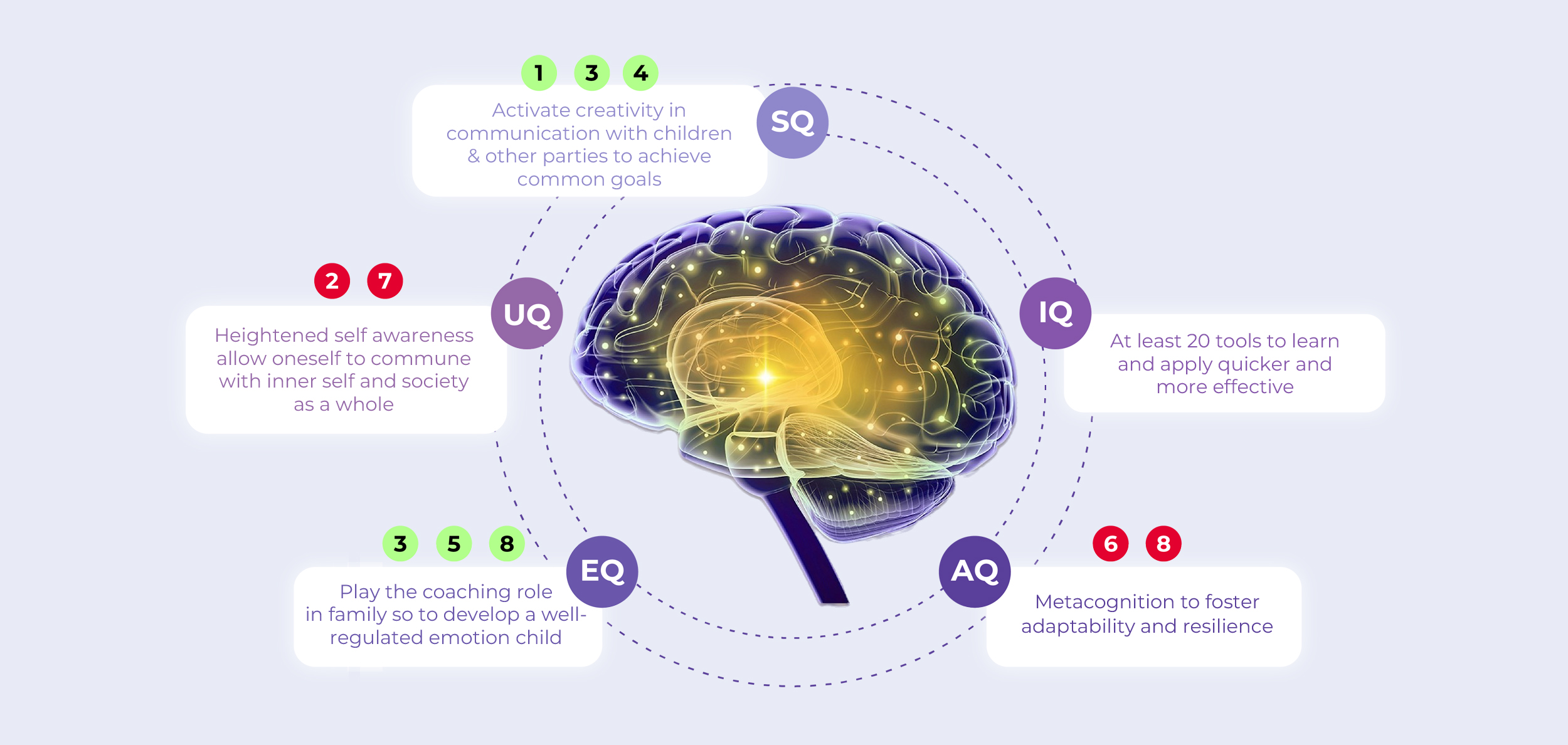 5Q Brain illustration